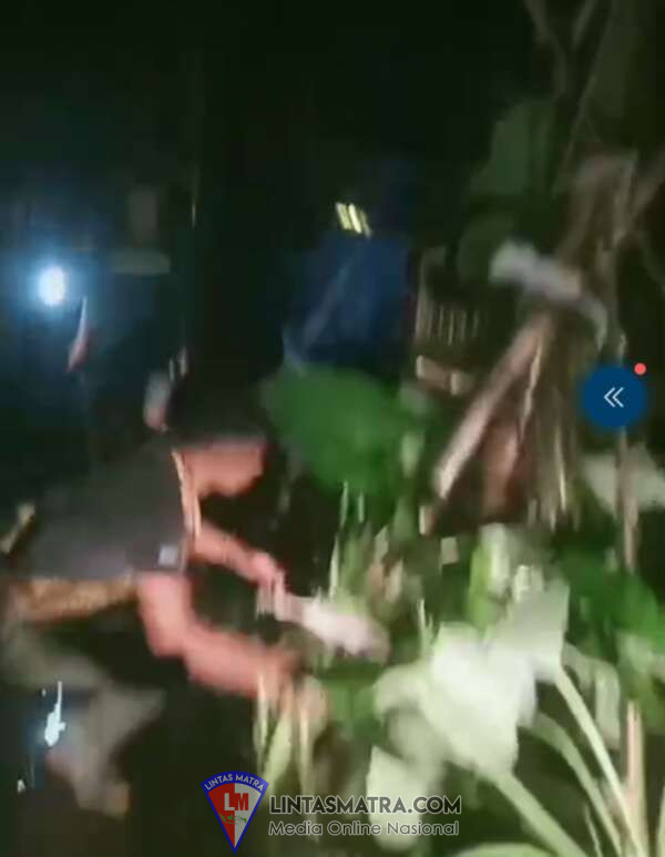 Warga janjanwolong gelar adik Demo Tanam Pohon pisang di tengah jalan